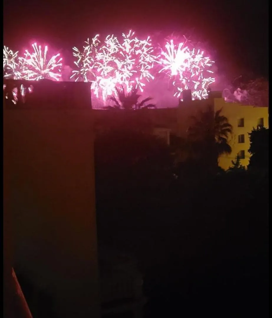 Appartement 2 Pieces Centre Menton Jardin Bioves